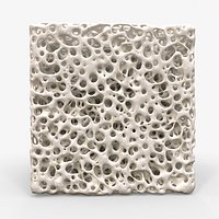 Bone Sponge Structure