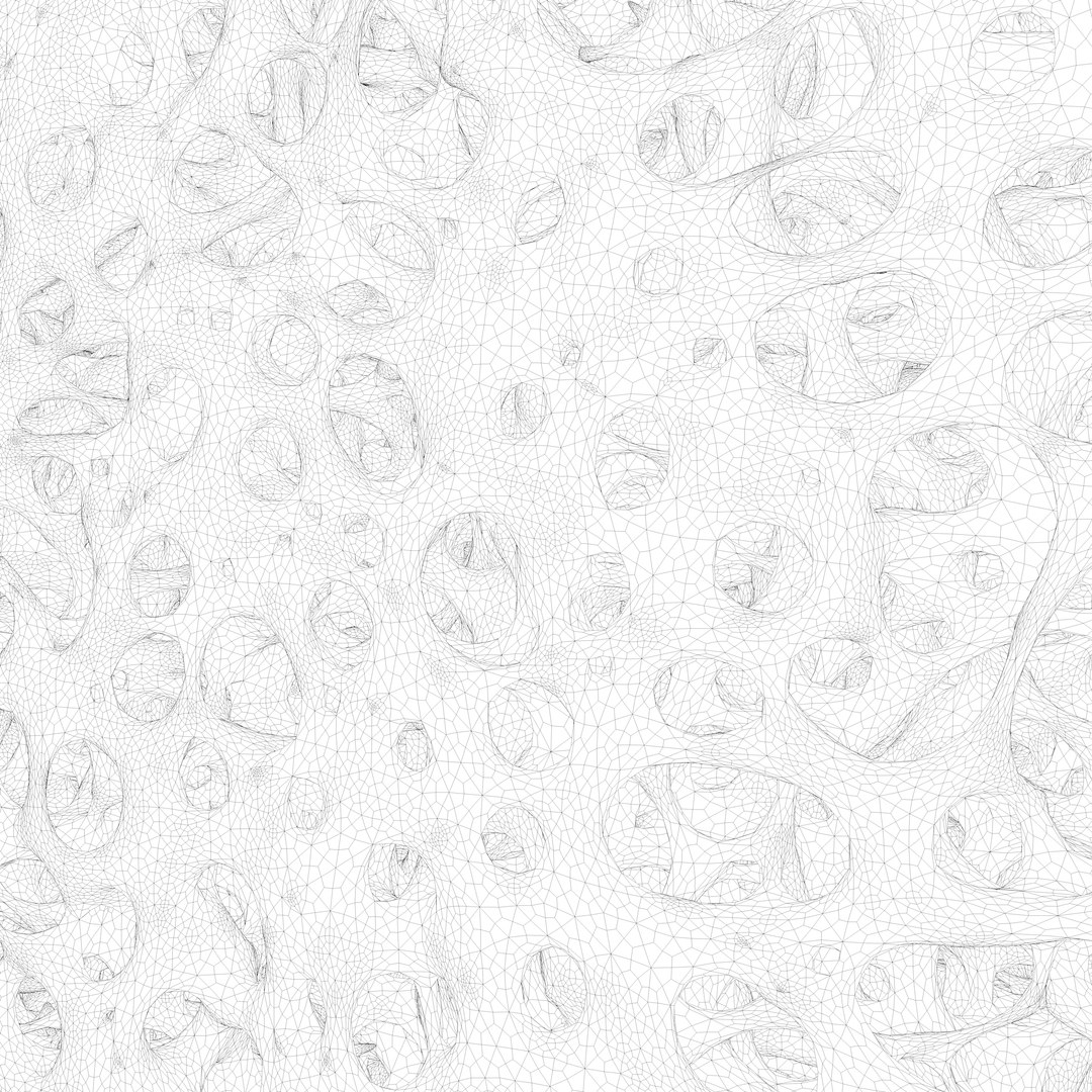3D Bone Sponge Structure https://p.turbosquid.com/ts-thumb/Uu/QBn9zE/lf/wireframe_2/png/1626009988/1920x1080/fit_q87/7c2da9f285af1907067643f5cd48738ecd2b8503/wireframe_2.jpg