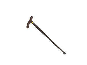 Walking Stick