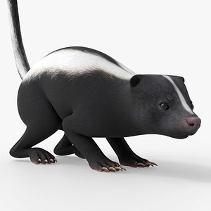 3D model Skunk Animal Rigged for Blender