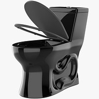 Sanitary Toilet