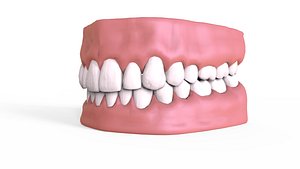 human teeth 3D
