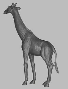 Giraffe 3D Model 3D