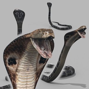 Pro King Cobra Snake - 8k - 3d animated 3D model