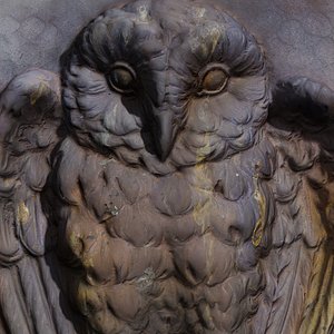 Owl Relief