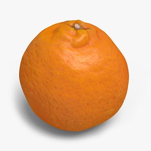 3d model of mandarin ready unreal