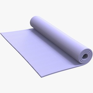 Gym Carpet Rollup V2