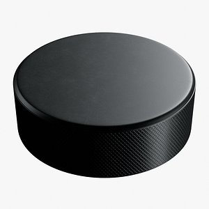 Hockey Puck 3D model
