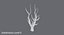 Bare Tree Snow Covered 03 Low Poly