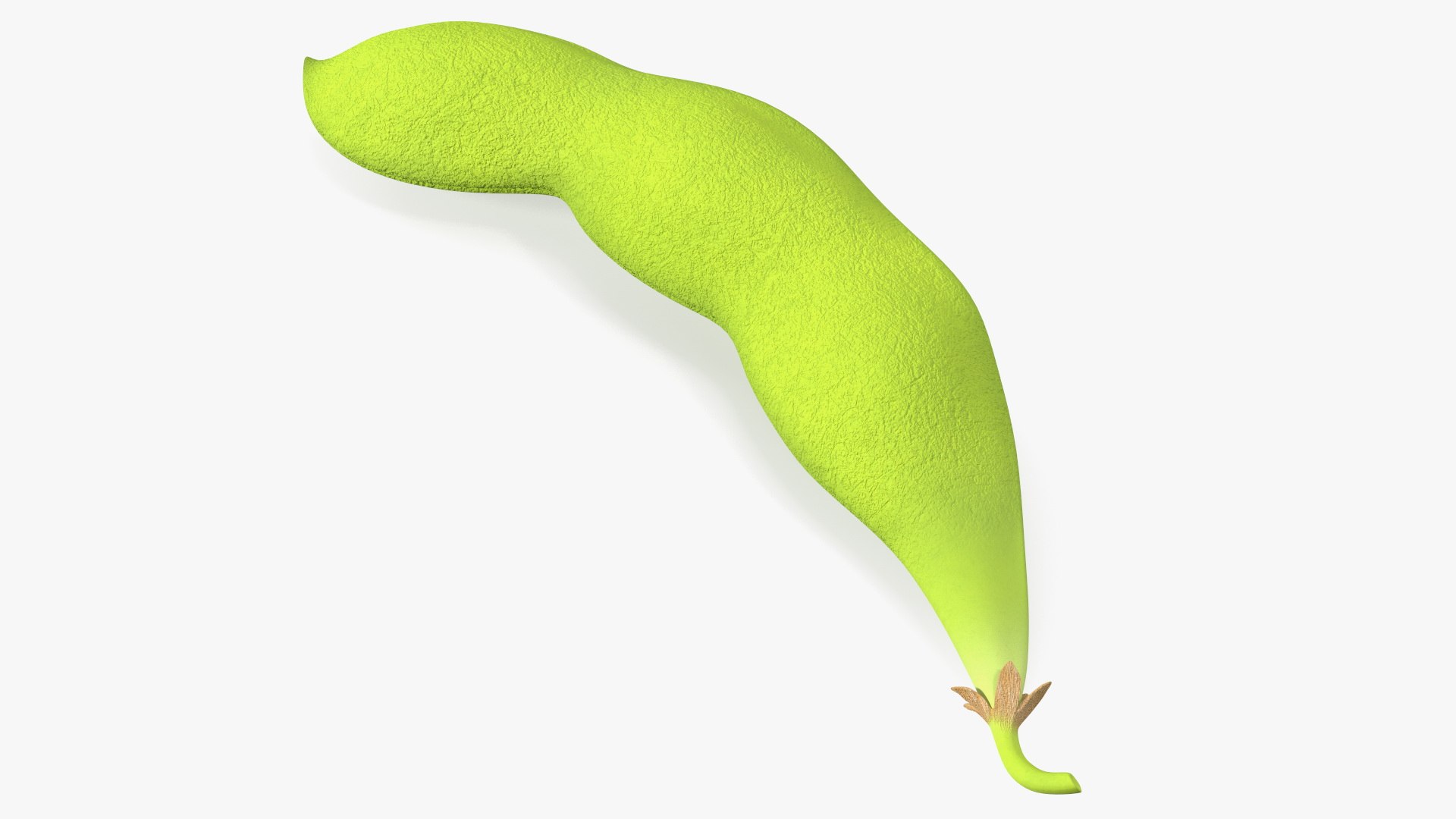 Green Soybean Pod 3D model preview
