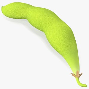 Green Soybean Pod 3D model