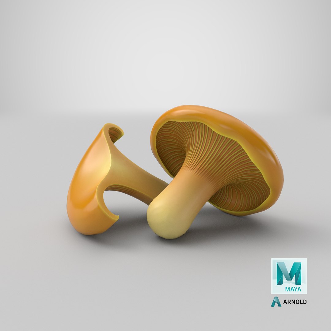3D Cartoon Chanterelle Mushroom https://p.turbosquid.com/ts-thumb/Uv/jmIY2M/1y/stemcell_maya_arnold_render/png/1689573450/1920x1080/fit_q87/34748ec33e7f8229b4e336c89589f70a57f45243/stemcell_maya_arnold_render.jpg