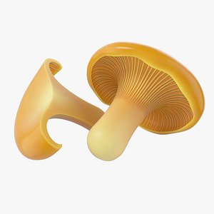 3D Cartoon Chanterelle Mushroom