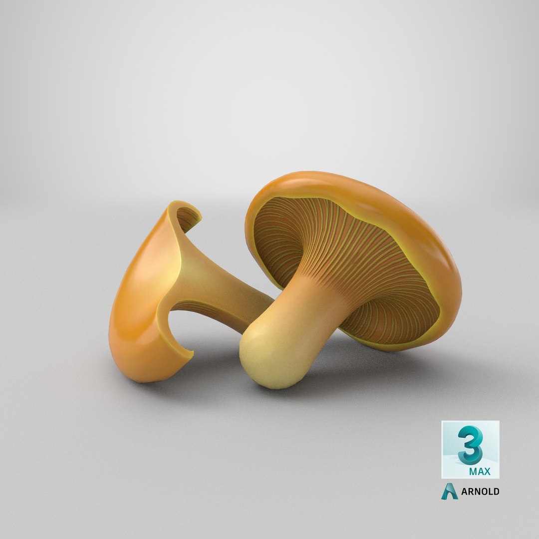 3D Cartoon Chanterelle Mushroom https://p.turbosquid.com/ts-thumb/Uv/jmIY2M/uV/stemcell_max_arnold_render/png/1689573454/1920x1080/fit_q87/436e8e561455f323651adf11718c77e2a8d18b1d/stemcell_max_arnold_render.jpg