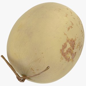 Whole Orange Honeydew Melon
