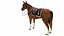 Horse Collection with Saddle 3D model