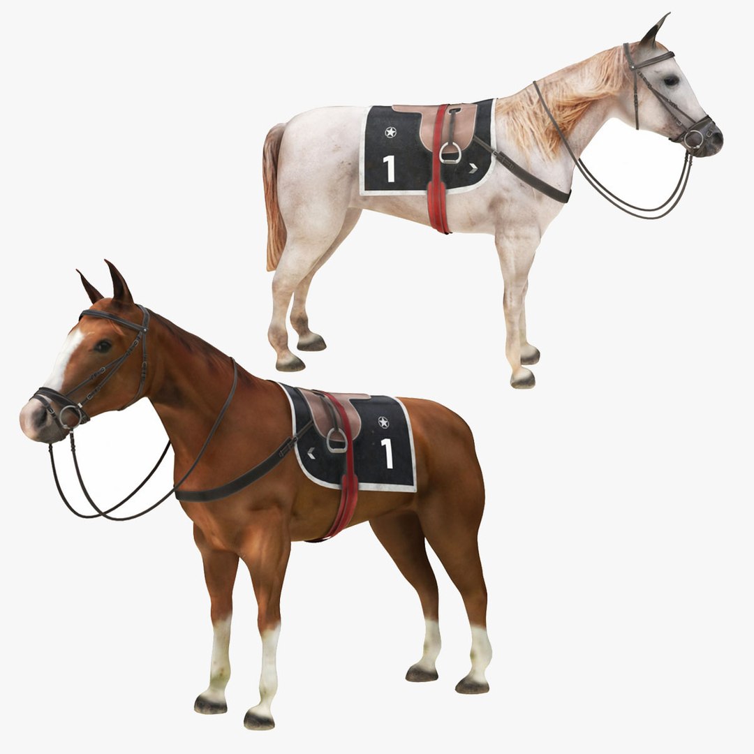Horse Collection with Saddle 3D model https://p.turbosquid.com/ts-thumb/Uv/l0yR2c/IH/col1/jpg/1707680437/1920x1080/fit_q87/83e688cbeb4c859be3717959952ed0631cc81de6/col1.jpg