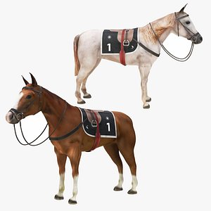 Horse Collection with Saddle 3D model