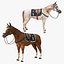 Horse Collection with Saddle 3D model