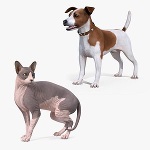 Pets Collection