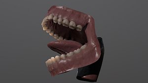 mouth teeth 3D model