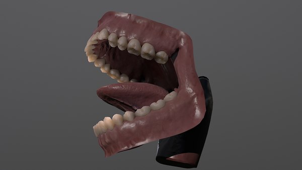 modelo 3d Modelo anatómico de boca y dientes - TurboSquid 1656006