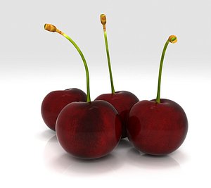 3d cherry fruit model
