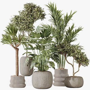 AV Indoor plants set 183 Olive Tree and Yucca Elephantipes Gigantea and Areca Palm and Giant Monster 3D