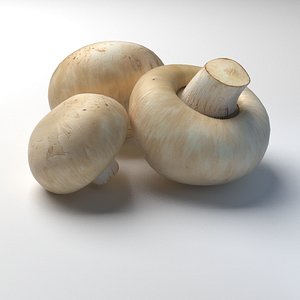 Button Mushroom Champignon low-poly