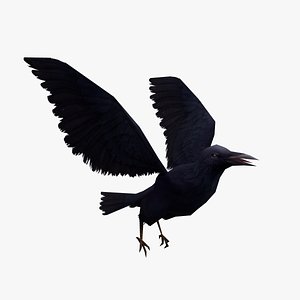 3D model low-poly animated crow