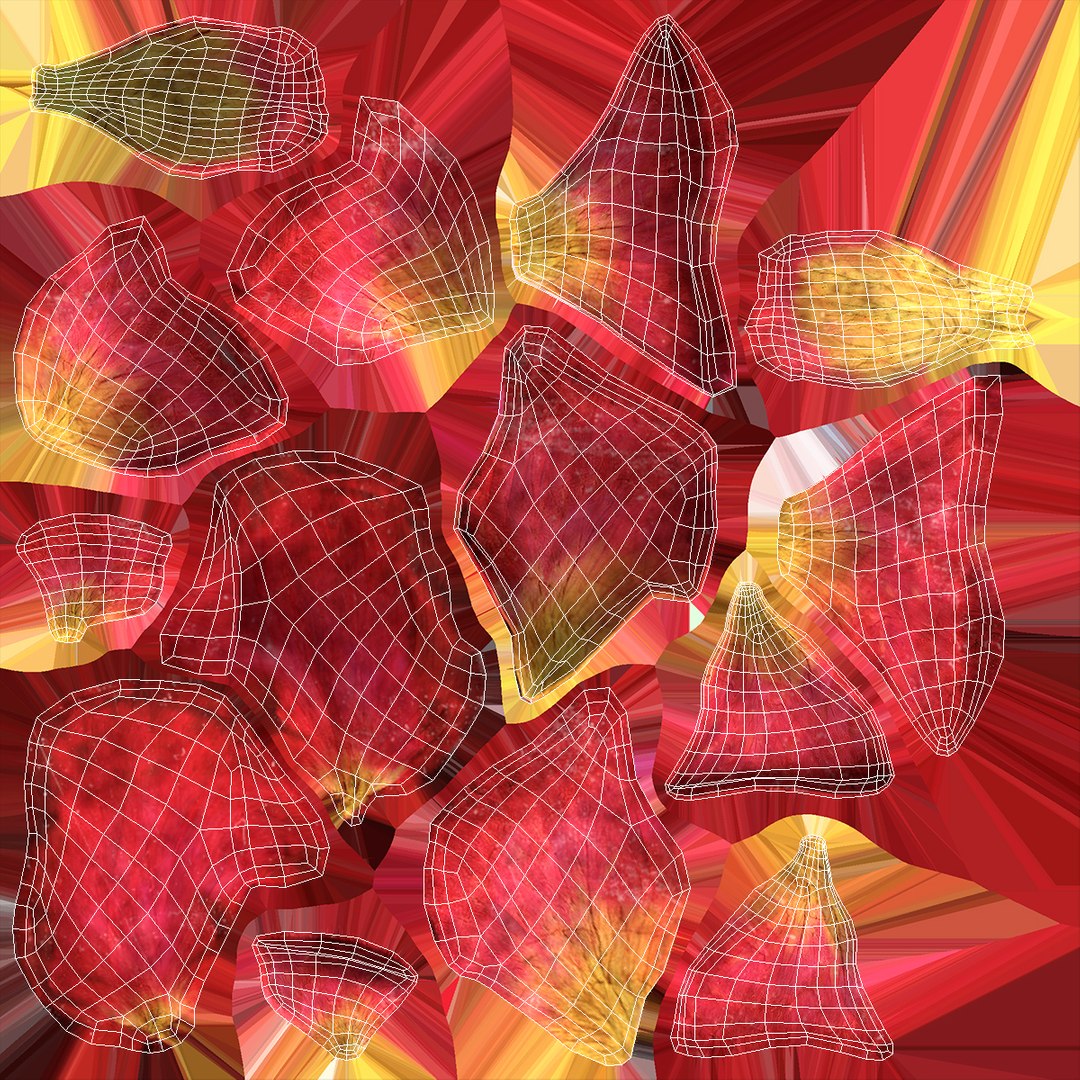 Dried Rose Petals Scattered from a Bowl 3D https://p.turbosquid.com/ts-thumb/Uw/L4kE03/KB/driedrosepetalsscatteredfromabowl3dsmodel019/jpg/1709328423/1920x1080/fit_q87/a230a38e76111e975940519de5185786b9af24d7/driedrosepetalsscatteredfromabowl3dsmodel019.jpg