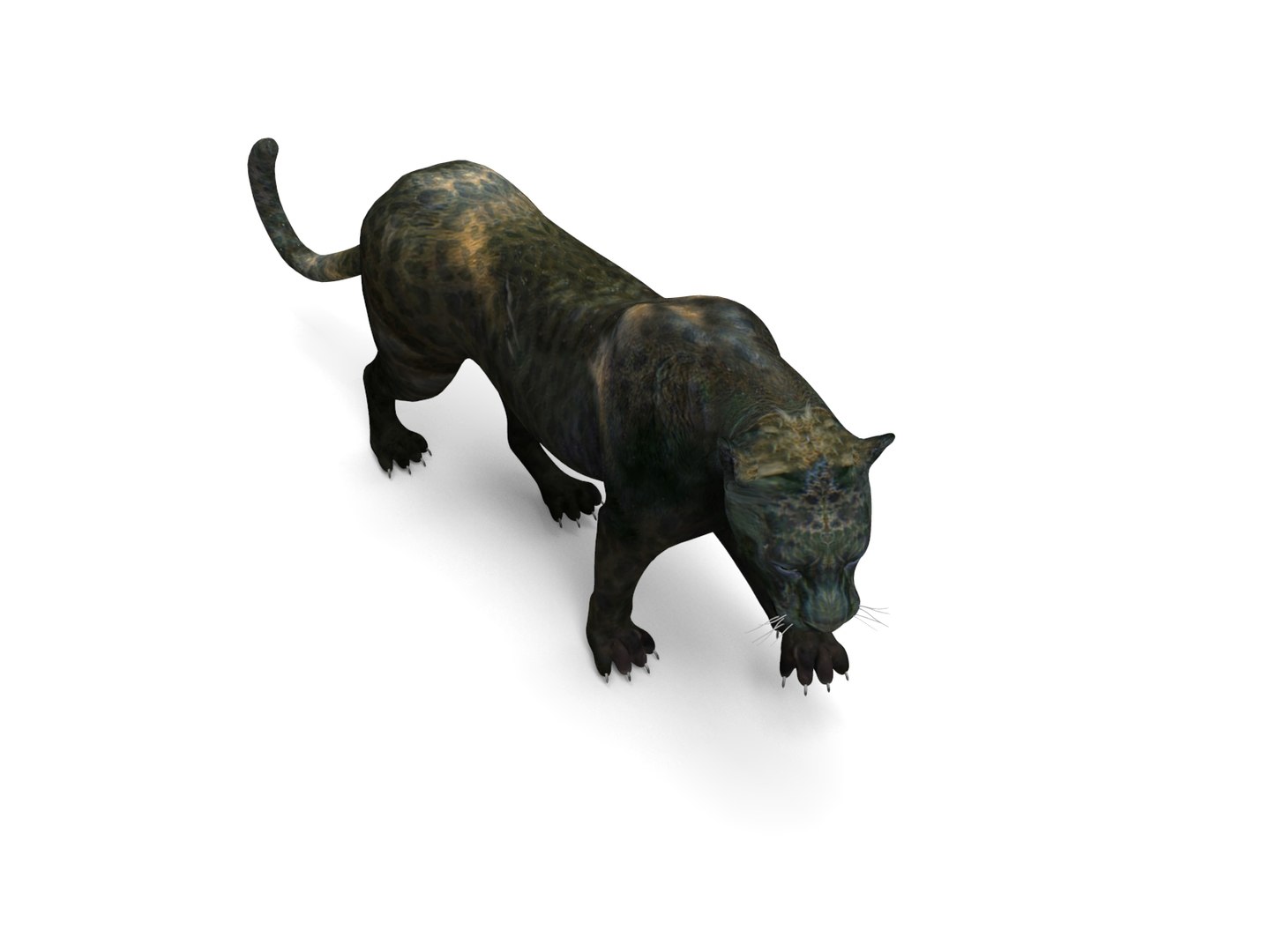 panther rigged animation 3D https://p.turbosquid.com/ts-thumb/Uw/O1XpXf/1i6yVEcD/panther.846/jpg/1526884067/1920x1080/fit_q87/6c0513c3ea66b8bc1946e9dc2b54425a817047b8/panther.846.jpg