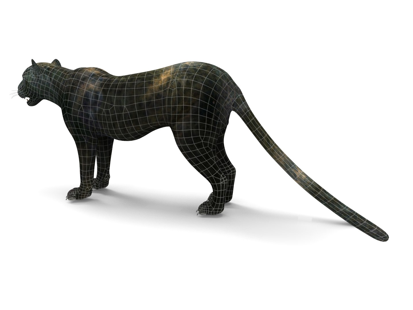 panther rigged animation 3D https://p.turbosquid.com/ts-thumb/Uw/O1XpXf/25txvEMN/panther.866/jpg/1526884067/1920x1080/fit_q87/8da843d84c4bad5022b72721a0da16fc098c5488/panther.866.jpg