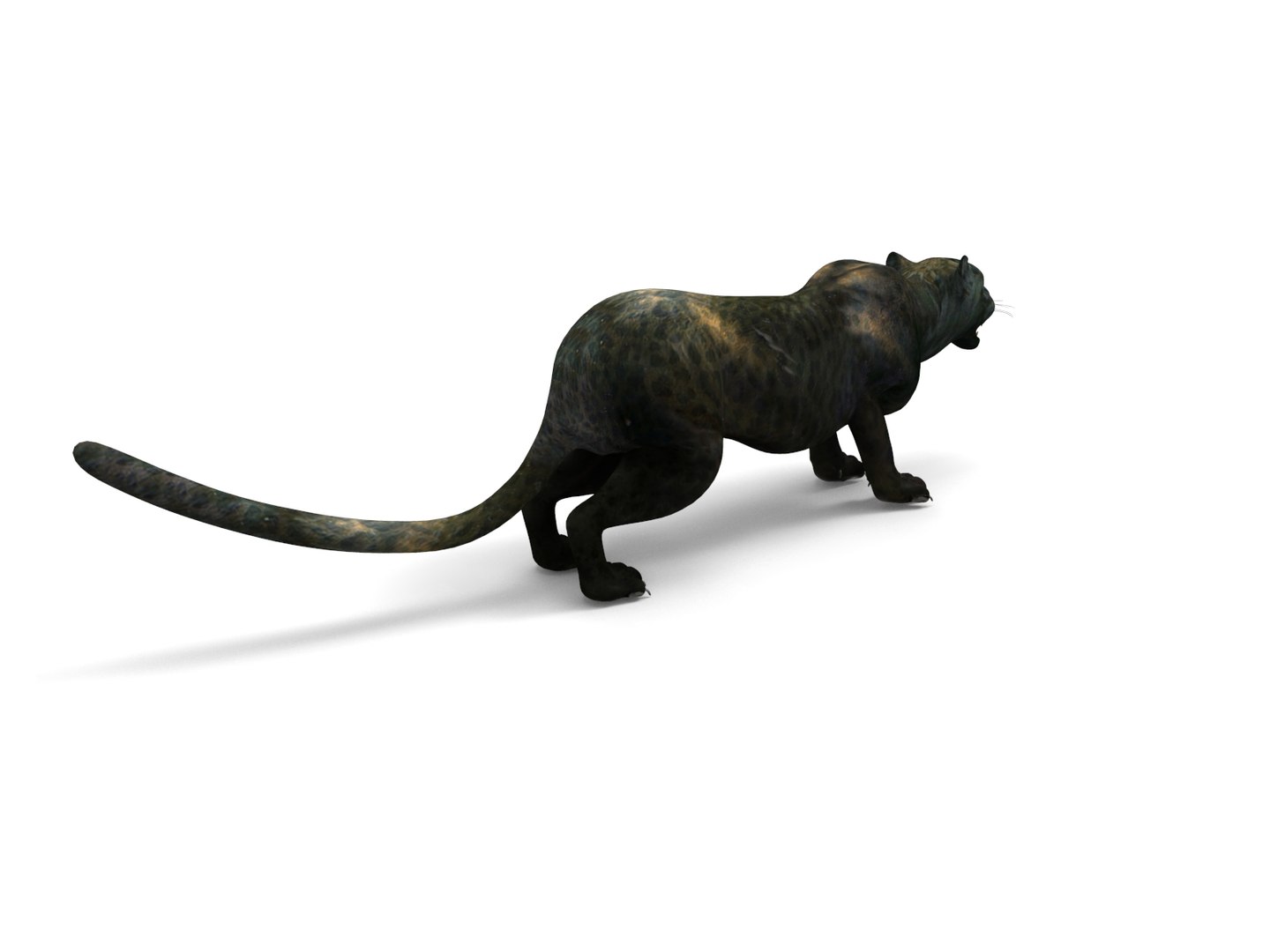 panther rigged animation 3D https://p.turbosquid.com/ts-thumb/Uw/O1XpXf/5IRrRIvk/panther.956/jpg/1526884067/1920x1080/fit_q87/c9f62670a57de88a9a5491b0e3ff39c6ad5e7b65/panther.956.jpg