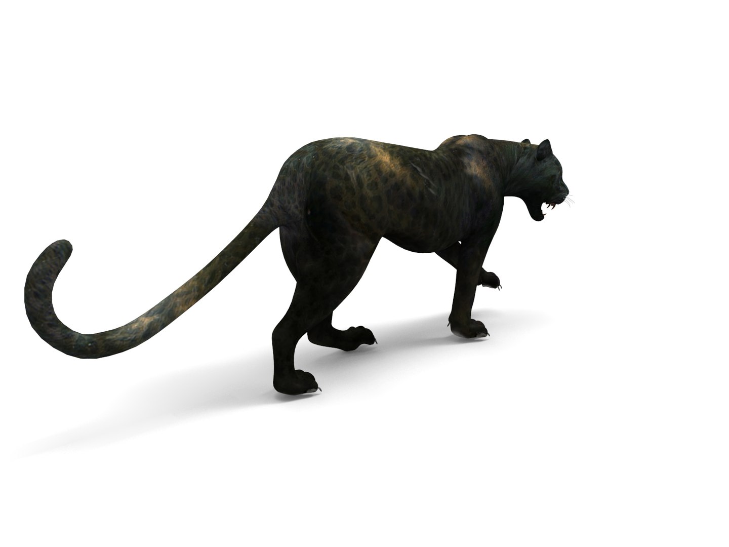 panther rigged animation 3D https://p.turbosquid.com/ts-thumb/Uw/O1XpXf/8ObF4TJW/panther.850/jpg/1526884067/1920x1080/fit_q87/02f8c08b965c441ac7ba44fd70d187dac549cdfa/panther.850.jpg