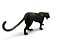 Black Panther Rigged And Animated