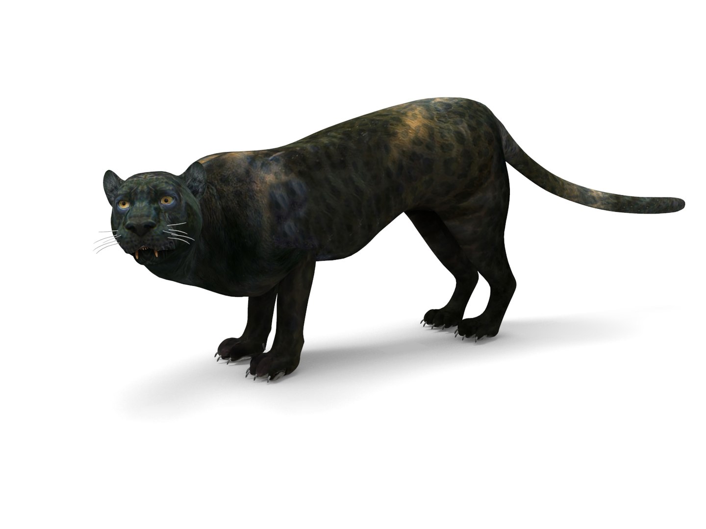 panther rigged animation 3D https://p.turbosquid.com/ts-thumb/Uw/O1XpXf/BML1L8NU/panther.954/jpg/1526884067/1920x1080/fit_q87/7cb1fb614e477fe02e9821b58721465d1401e687/panther.954.jpg