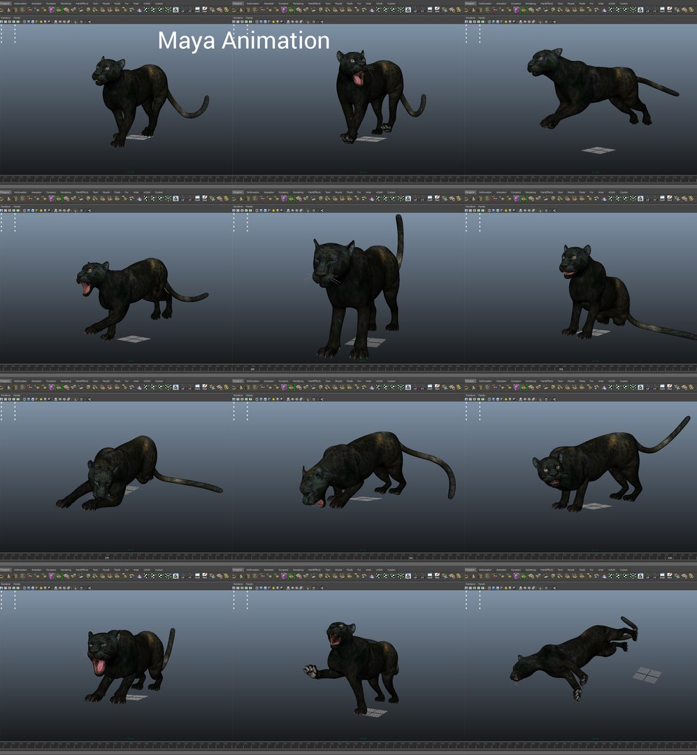 panther rigged animation 3D https://p.turbosquid.com/ts-thumb/Uw/O1XpXf/BOojK3gg/mayaanim/jpg/1526884460/1920x1080/fit_q87/6b8b1229b2f55dbb64420201862e233d633550be/mayaanim.jpg