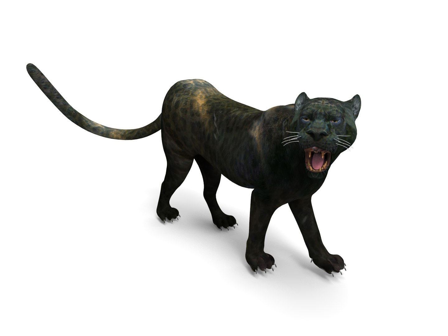 panther rigged animation 3D https://p.turbosquid.com/ts-thumb/Uw/O1XpXf/CjHC8o0r/panther.948/jpg/1526884067/1920x1080/fit_q87/4d8273c5e36be21bf0519fc457b5664d28705d3f/panther.948.jpg