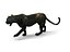 Black Panther Rigged And Animated