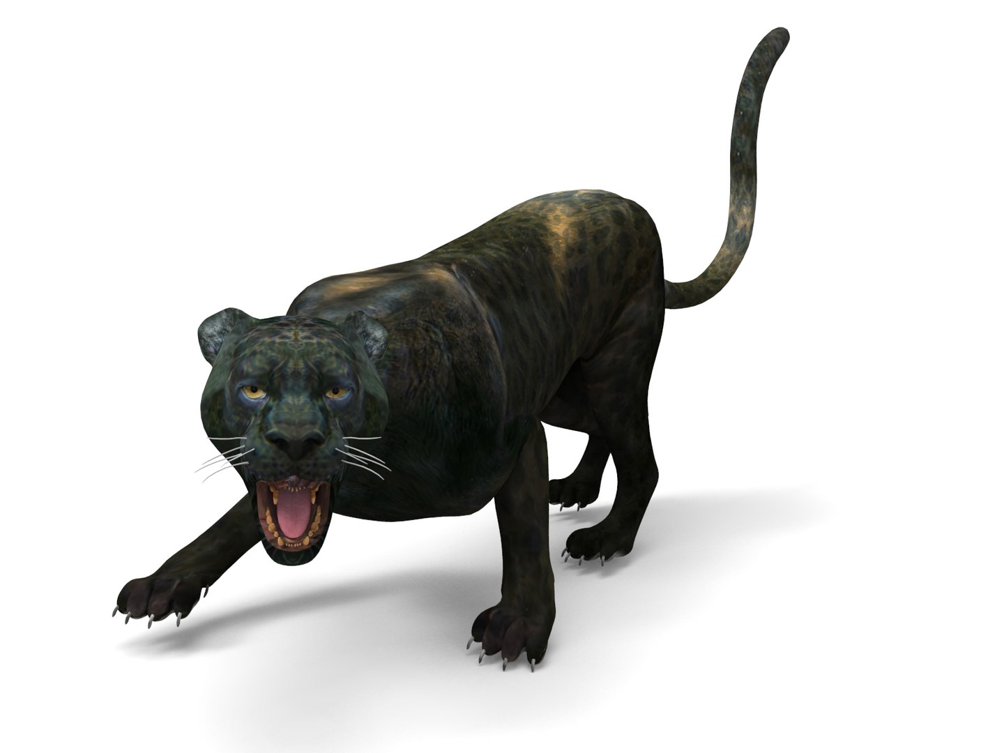 panther rigged animation 3D https://p.turbosquid.com/ts-thumb/Uw/O1XpXf/ObUxKFha/panther.854/jpg/1526884067/1920x1080/fit_q87/aaa0b94376d172d3b5427d6649e8cb41b725b146/panther.854.jpg