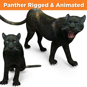 panther rigged animation 3D