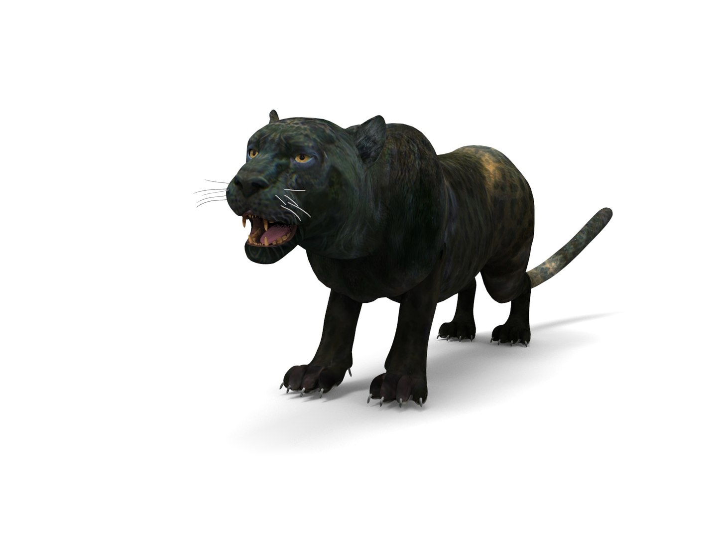 panther rigged animation 3D https://p.turbosquid.com/ts-thumb/Uw/O1XpXf/RV6gFFnj/panther.955/jpg/1526884067/1920x1080/fit_q87/deca83ccb36df244e5df8b28716eba365c051a13/panther.955.jpg
