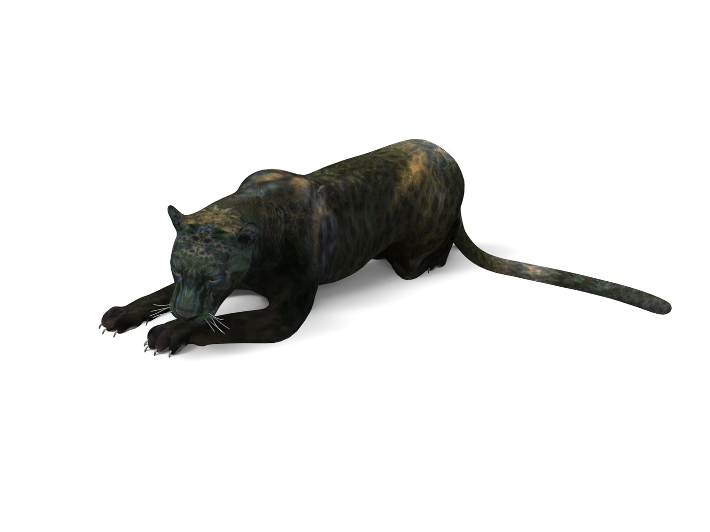 panther rigged animation 3D https://p.turbosquid.com/ts-thumb/Uw/O1XpXf/UWQNJf5O/panther.952/jpg/1526884067/1920x1080/fit_q87/197e0d837ef4ca60889ade7542b38fedba65e1ff/panther.952.jpg