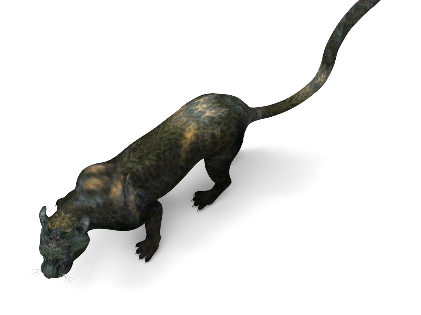 panther rigged animation 3D https://p.turbosquid.com/ts-thumb/Uw/O1XpXf/UZco6bAo/panther.852/jpg/1526884067/1920x1080/fit_q87/1d4ad2ed4dde1817999ec08e3699edc4b9a5e929/panther.852.jpg
