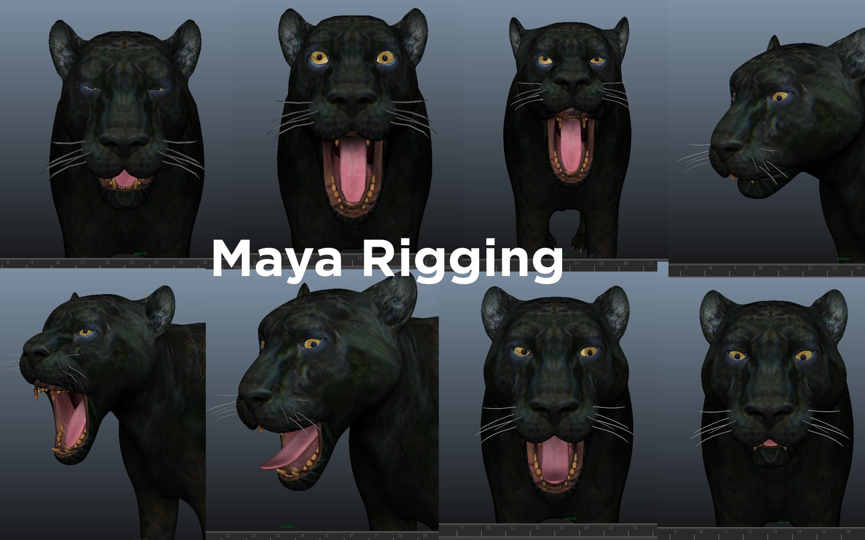 panther rigged animation 3D https://p.turbosquid.com/ts-thumb/Uw/O1XpXf/XtXodBn5/mayarigg02/jpg/1526884460/1920x1080/fit_q87/a6e8ed04c47e1f9cc8b98915f26c5a4764c78a52/mayarigg02.jpg