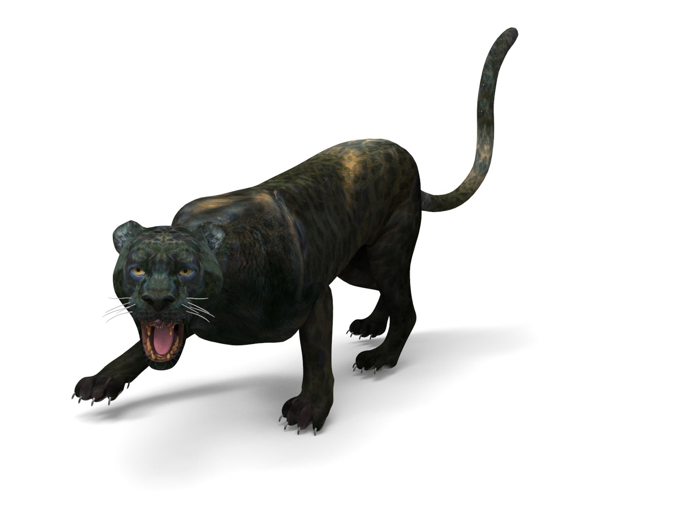 panther rigged animation 3D https://p.turbosquid.com/ts-thumb/Uw/O1XpXf/YF5XPBMu/panther.851/jpg/1526884067/1920x1080/fit_q87/1745d316346505d98e7a259061fc618627a146a9/panther.851.jpg