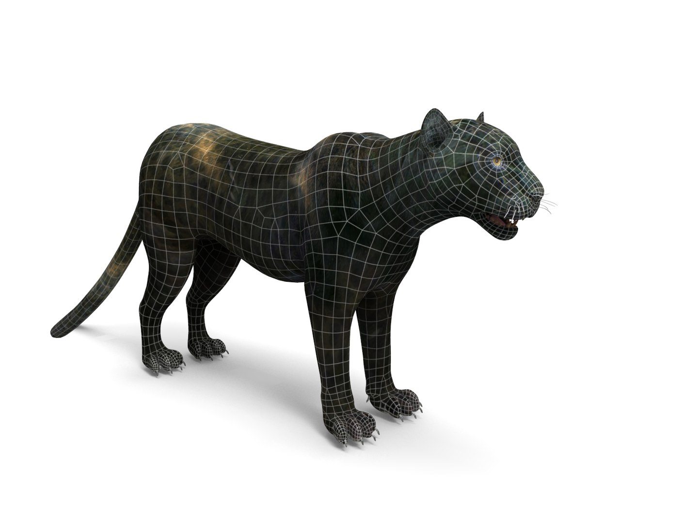 panther rigged animation 3D https://p.turbosquid.com/ts-thumb/Uw/O1XpXf/aicaL8WX/panther.864/jpg/1526884067/1920x1080/fit_q87/65af0e27bde76ad3b5c241c54163680f6d052d51/panther.864.jpg
