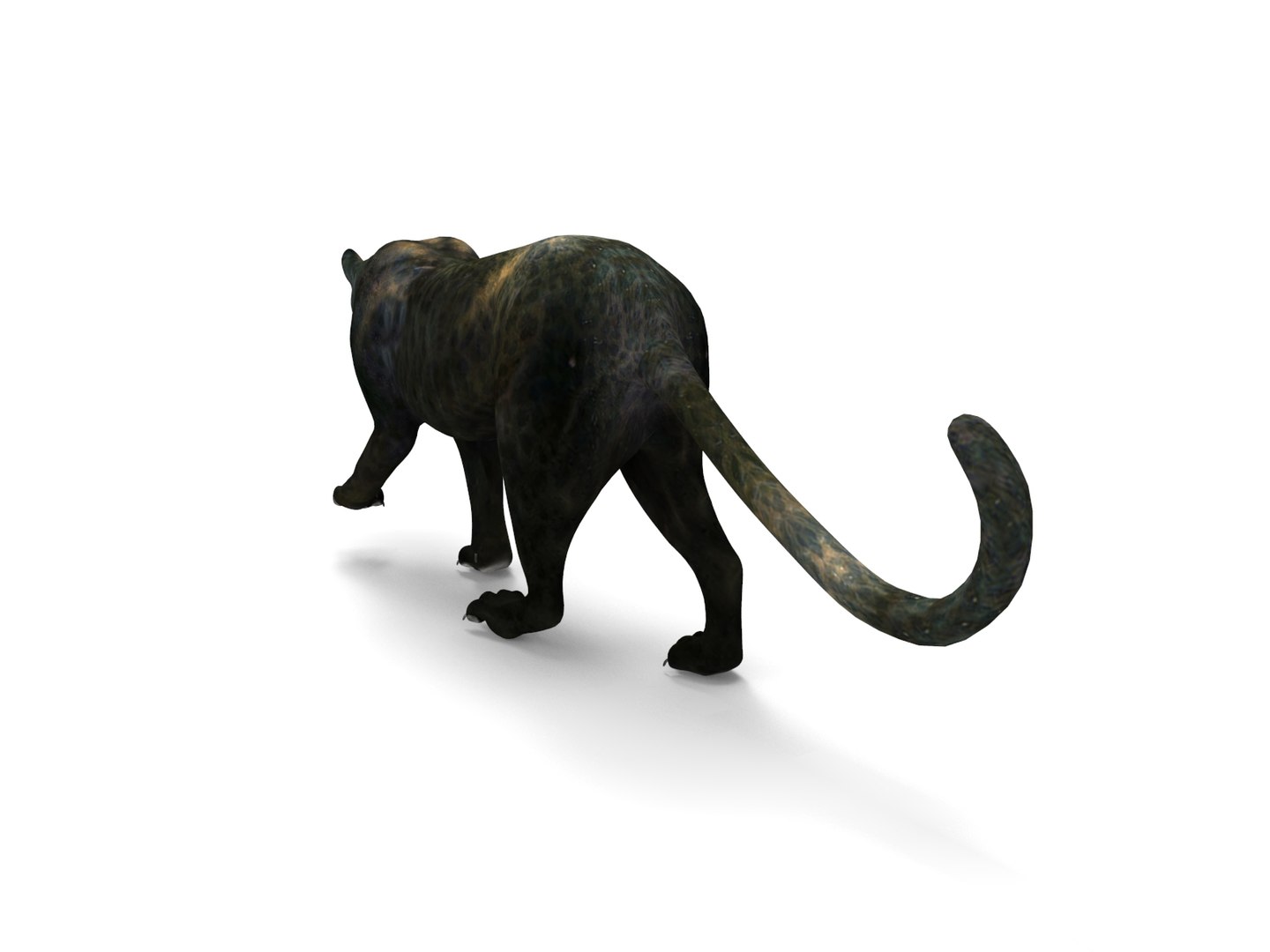 panther rigged animation 3D https://p.turbosquid.com/ts-thumb/Uw/O1XpXf/bpDpAcgn/panther.849/jpg/1526884067/1920x1080/fit_q87/4fdc699241f0ffebd7a9ac26da70aa5132eb5317/panther.849.jpg