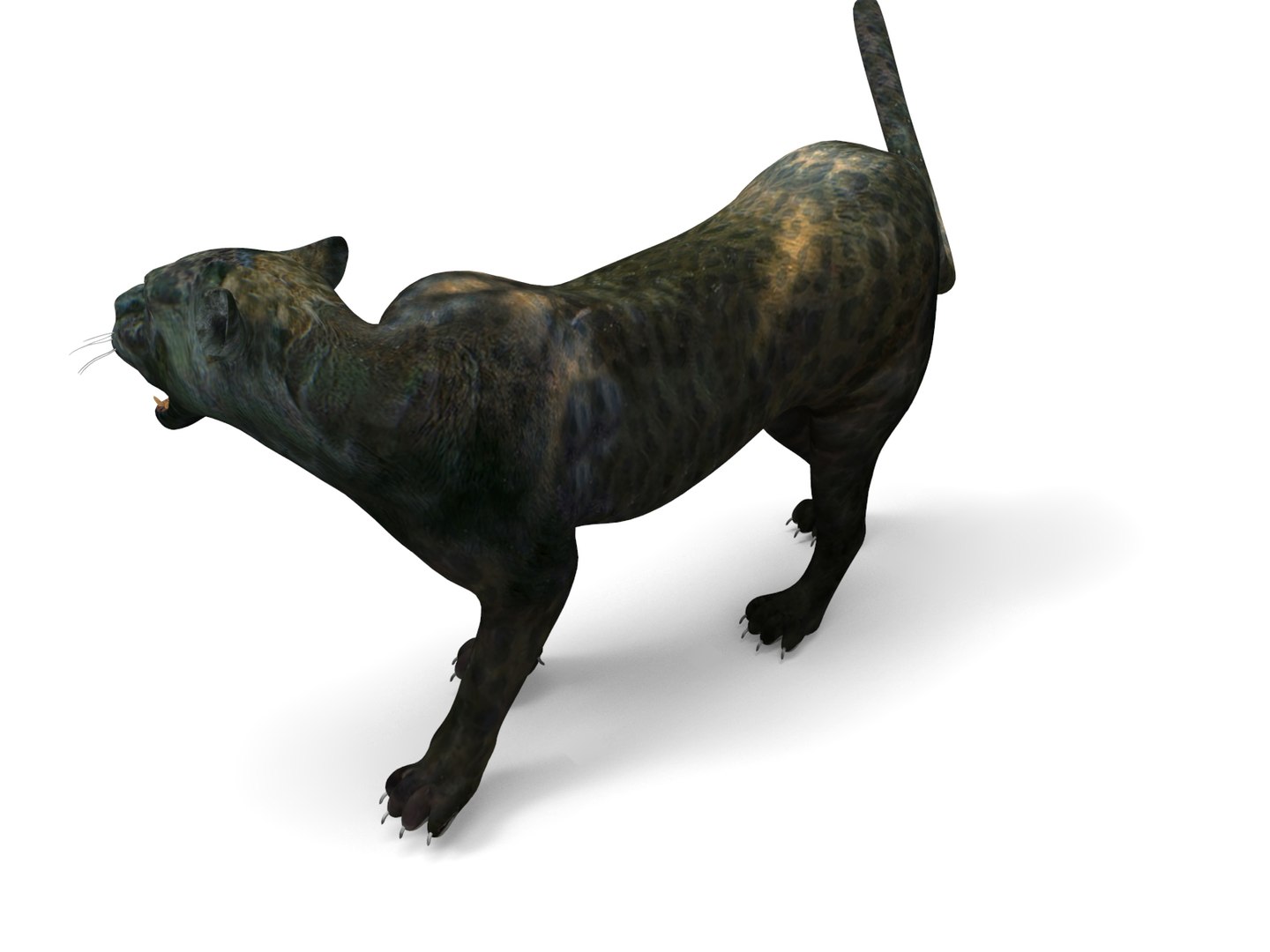 panther rigged animation 3D https://p.turbosquid.com/ts-thumb/Uw/O1XpXf/c9Yqhks6/panther.949/jpg/1526884067/1920x1080/fit_q87/d777891e34b609f03369489800deccbfd8bbc2c8/panther.949.jpg